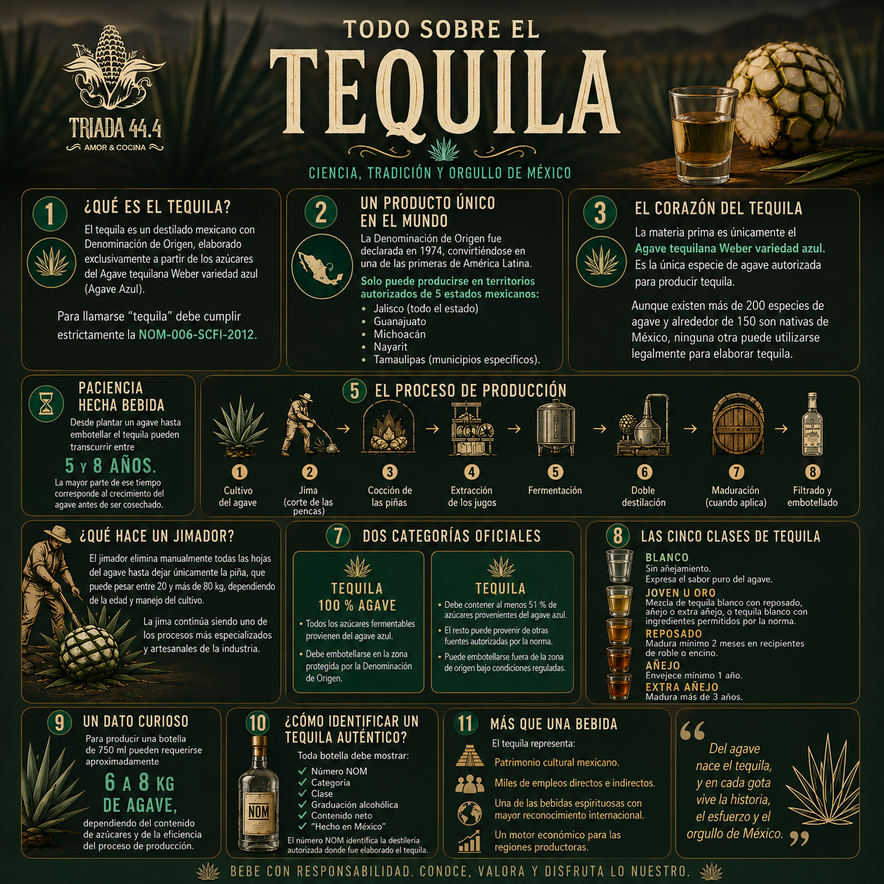 Tequila: ciencia hecha tradición